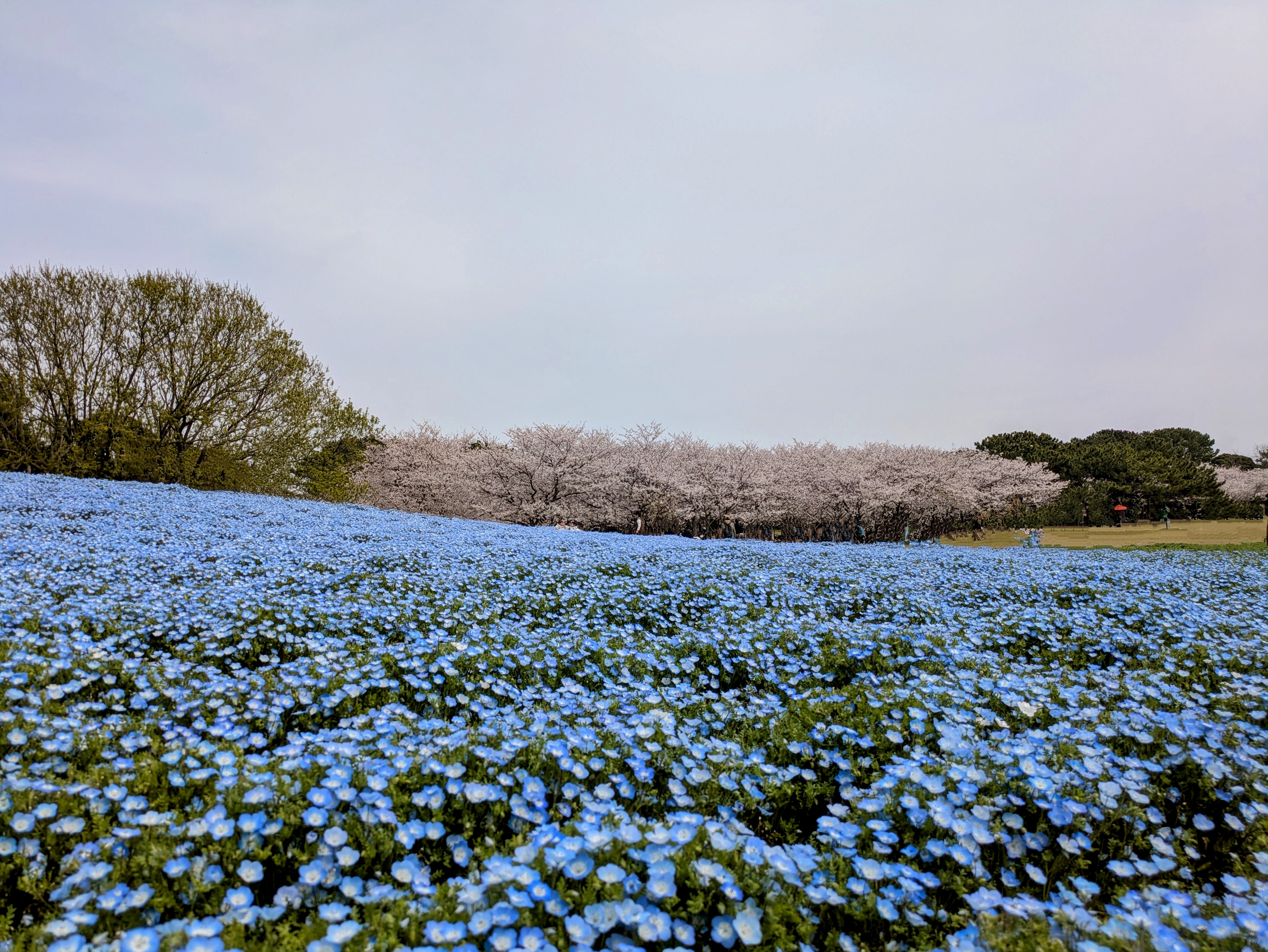 海の中道海浜公園