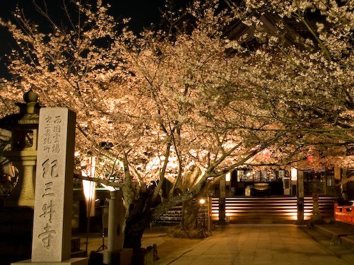 ホテルグランヴィア和歌山 - 写真 79