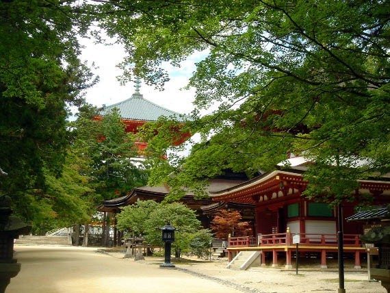 ホテルグランヴィア和歌山 - 写真 84