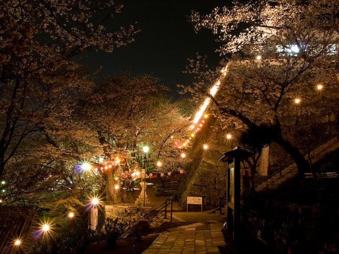 ホテルグランヴィア和歌山 - 写真 78