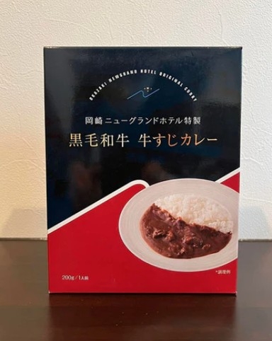 【素泊まり】22Hステイ＆『岡崎城ビュー確約』×ホテル特製カレーのお土産付き！浴場・サウナで気分爽快