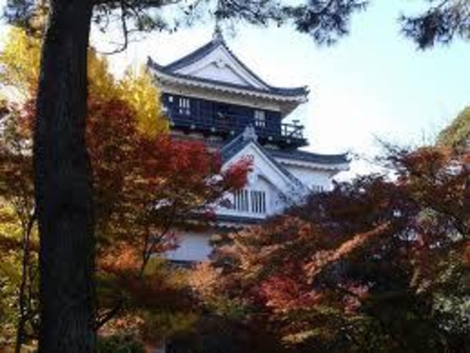 紅葉の間から見る岡崎城