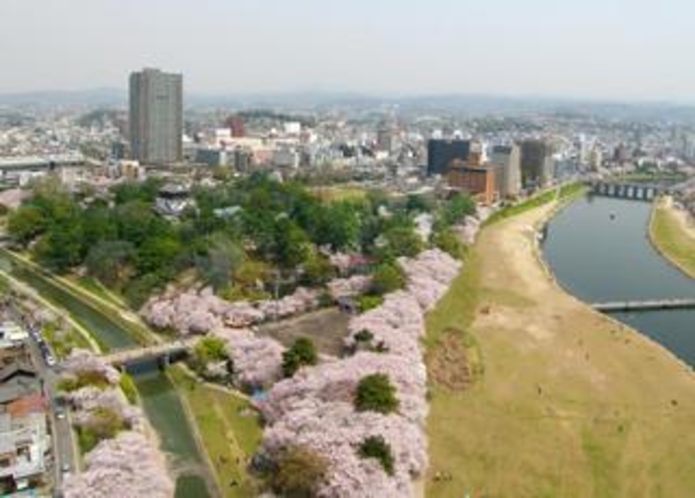 桜につつまれます｡