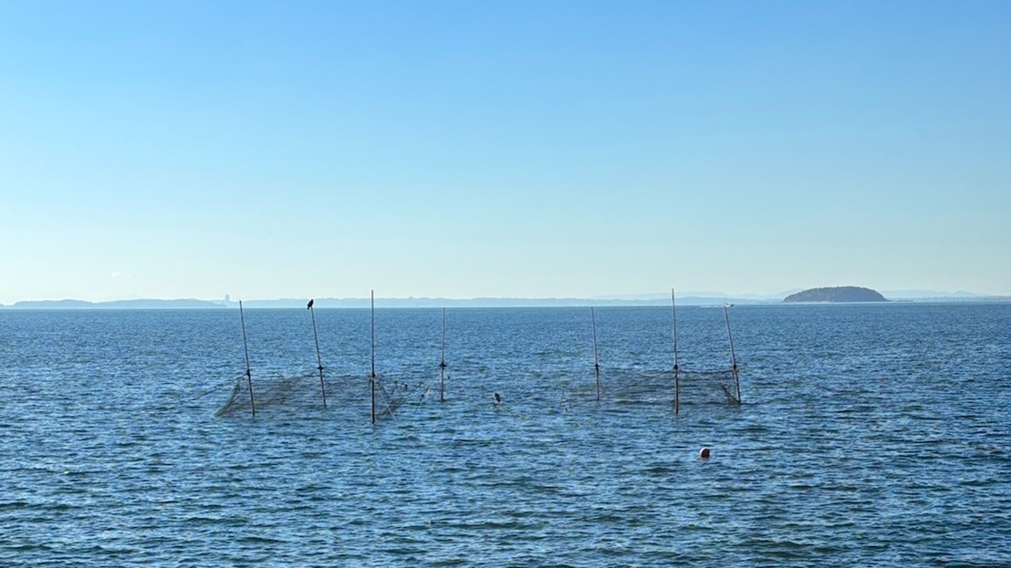 【ジオガイドツアー】＜春休み限定＞西浦の自然満喫！足湯＆大人ワンドリンク付【2食付／基本会席】