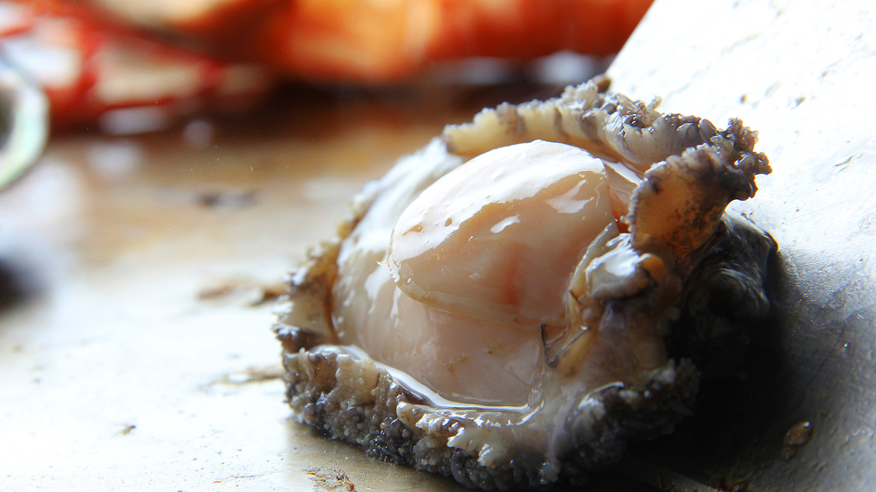 ■『鉄板ダイニング-碧AO-』■〜『厳選牛♪』や『厳選魚介♪』焼きたてを召し上がれ