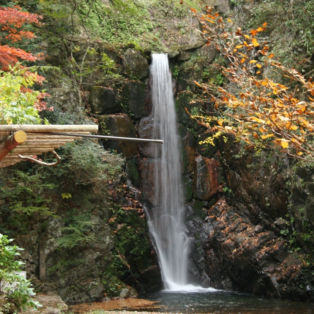 ●鼓が滝公園　六甲山からの水が鼓を打つかのような音で流れ落ちていたことに由来する滝です（徒歩25分）