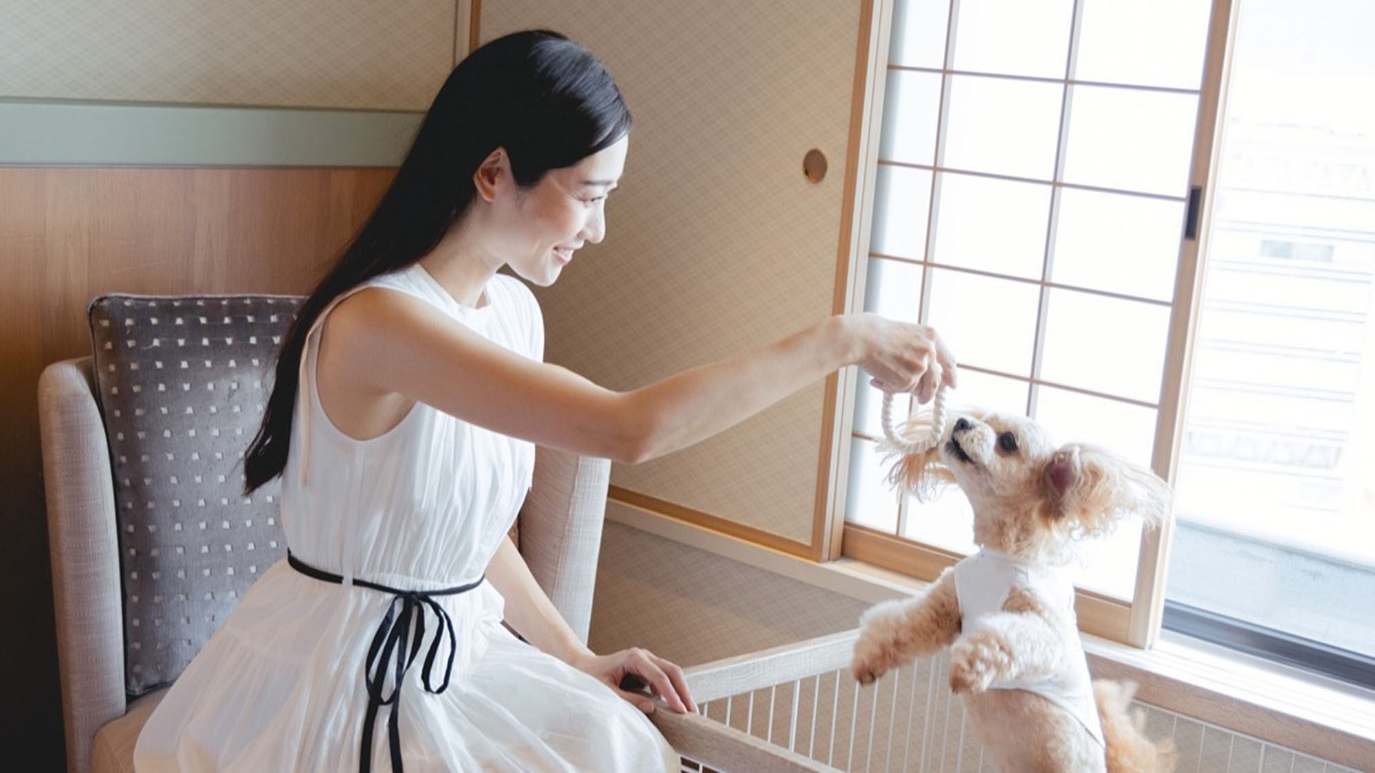 【ドッグルームプラン】 愛犬と一緒に贅沢なひとときを 〜Happy Paws Stay〜