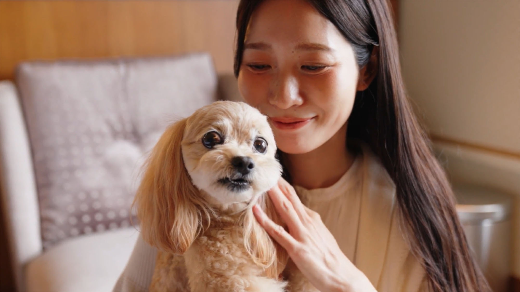 【ドッグルームプラン】 愛犬と一緒に贅沢なひとときを 〜Happy Paws Stay〜
