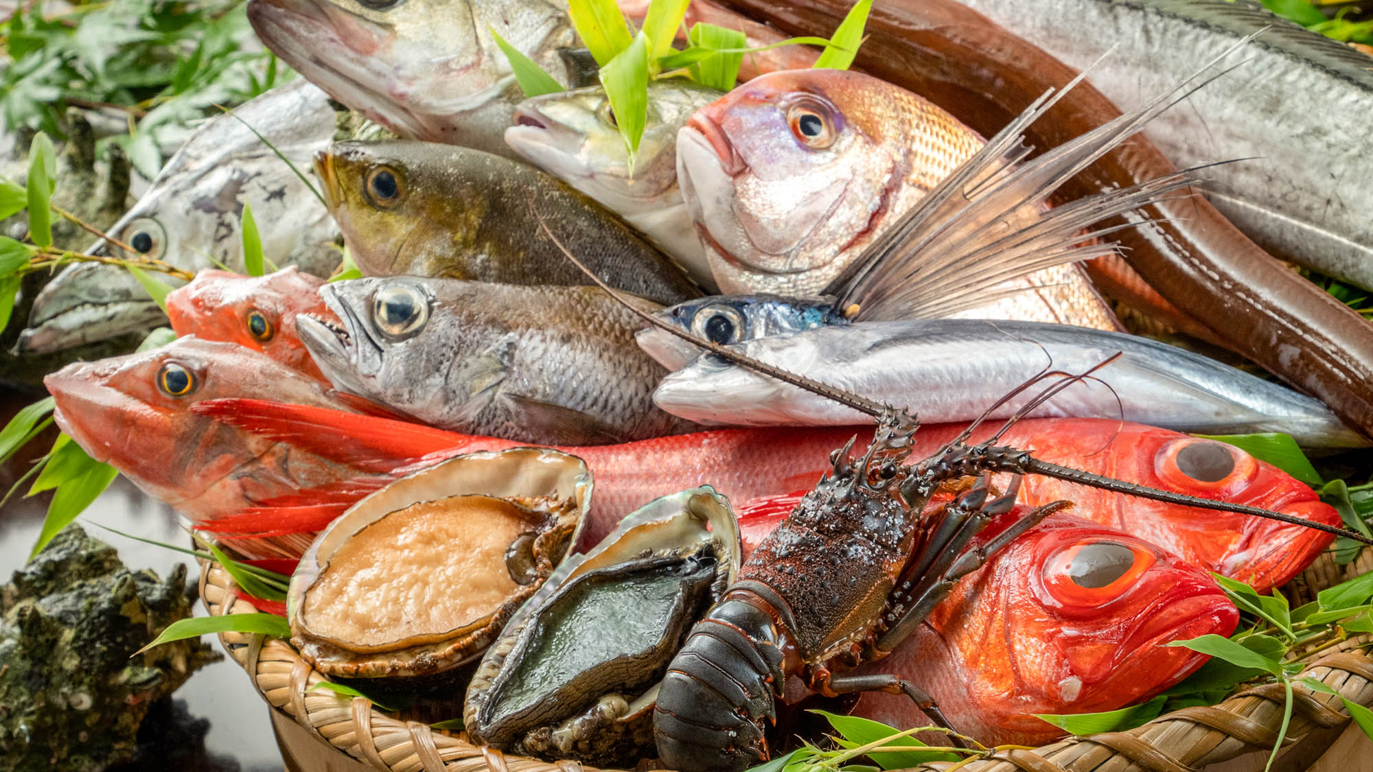 ・【食事一例】南房総の獲りたての海の幸を存分にご堪能ください