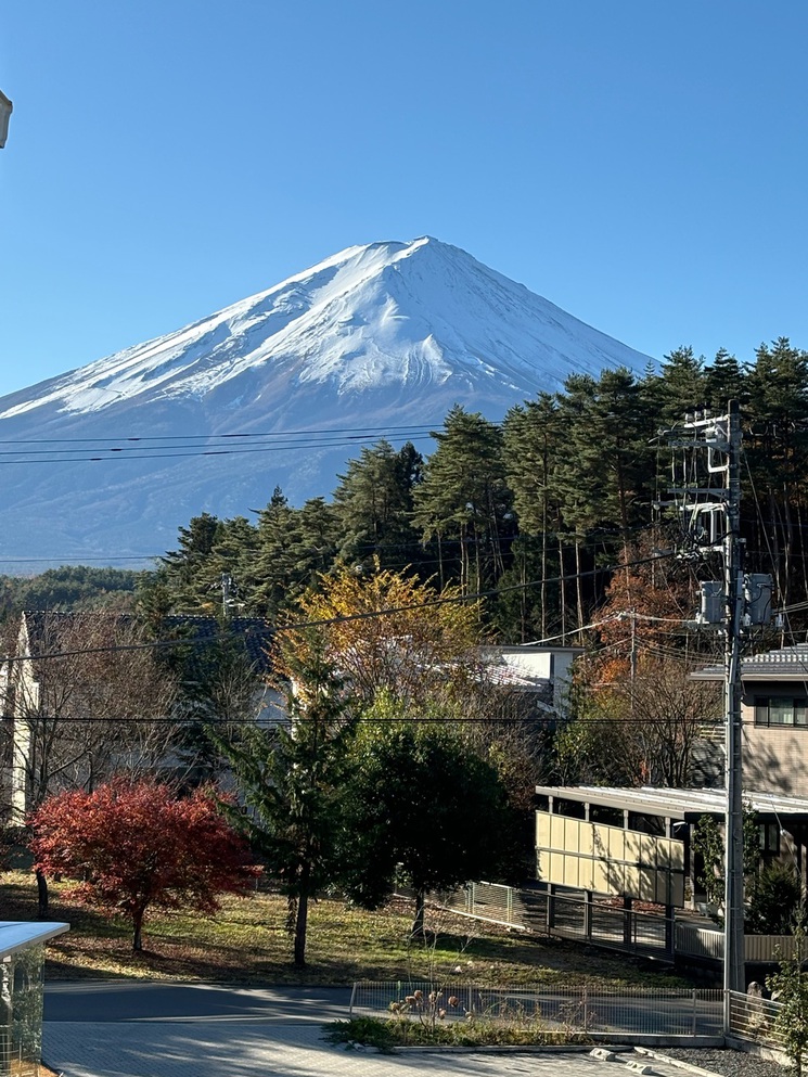 写真7