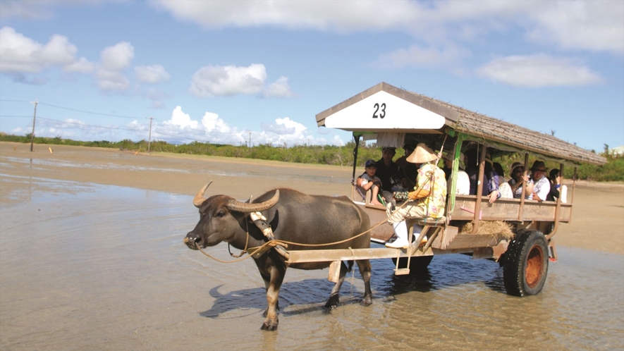 ◆由布島の水牛車/のんびり島時間を感じながら探索！
