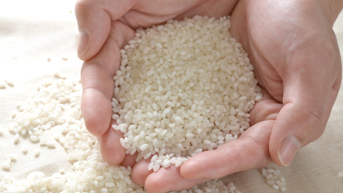 【2食付】1泊（ワン）2食（ツー）お米（ライス）キャンペーン！あきたこまち（新米）プレゼント♪