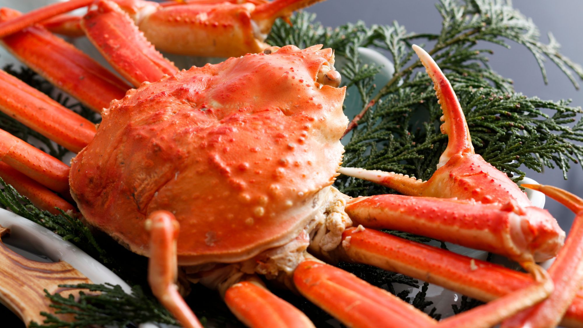 【冬グルメといえば蟹！】まるごと一杯茹で蟹付会席！境港直送旬魚＆県産牛など山陰の味覚満喫♪2食付