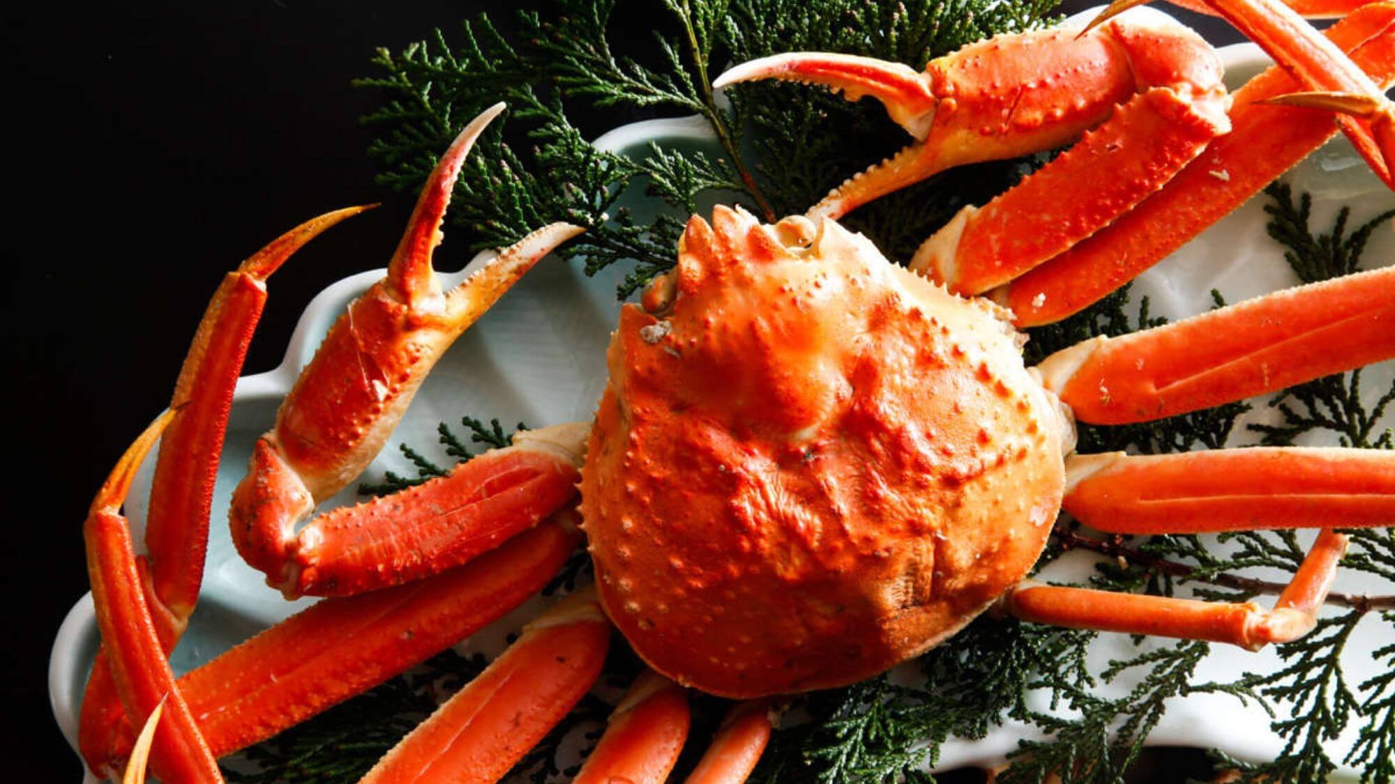 【さき楽60】早めのご予約で蟹フルコース2000円OFF！茹で刺し天婦羅すき鍋全8品かに料理〇2食付