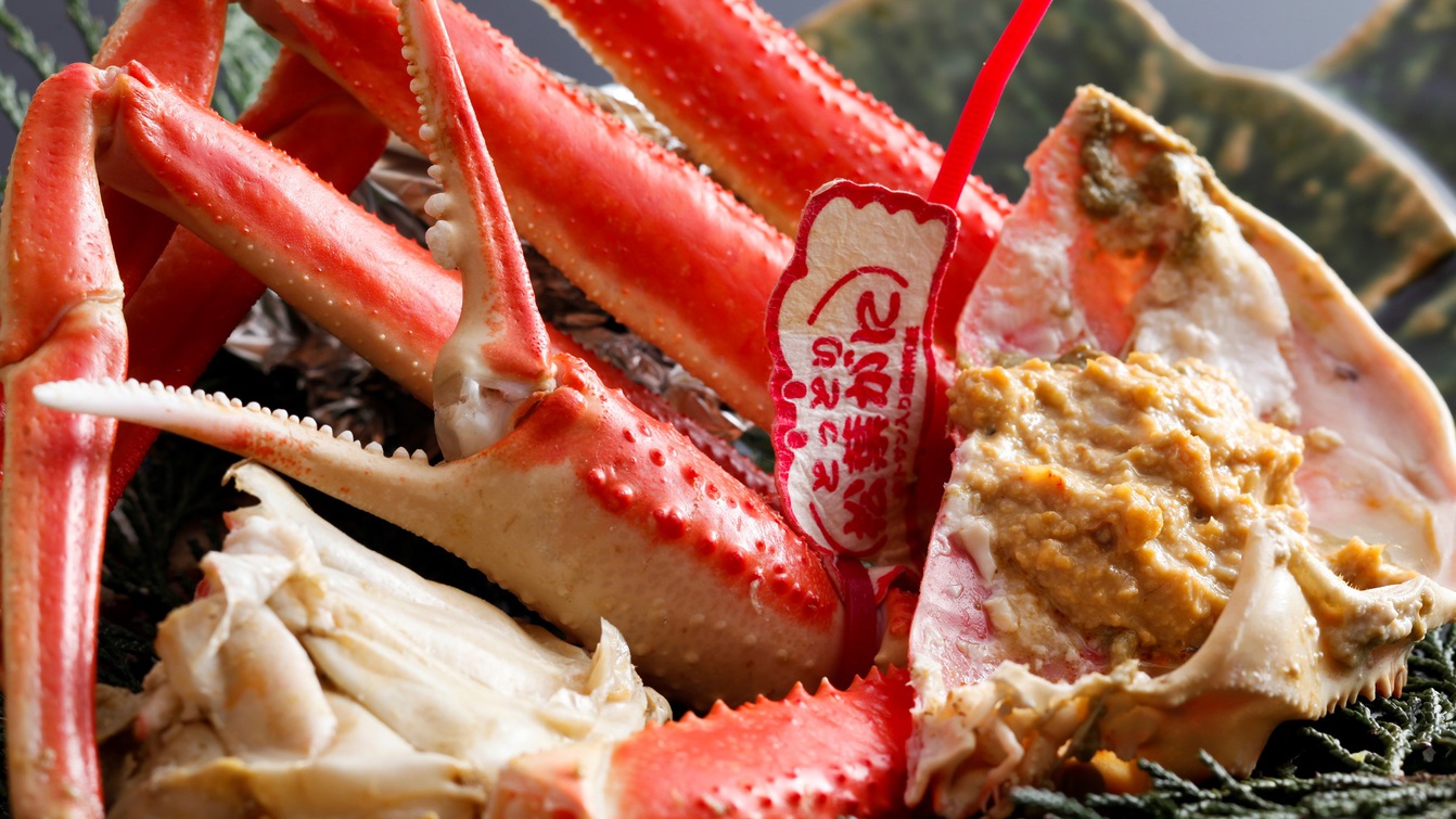 【活蟹フルコース＜特上＞】白タグ付松葉ガニお一人様1.5杯分！絶品蟹料理7品〇冬の絢爛山陰旅♪2食付