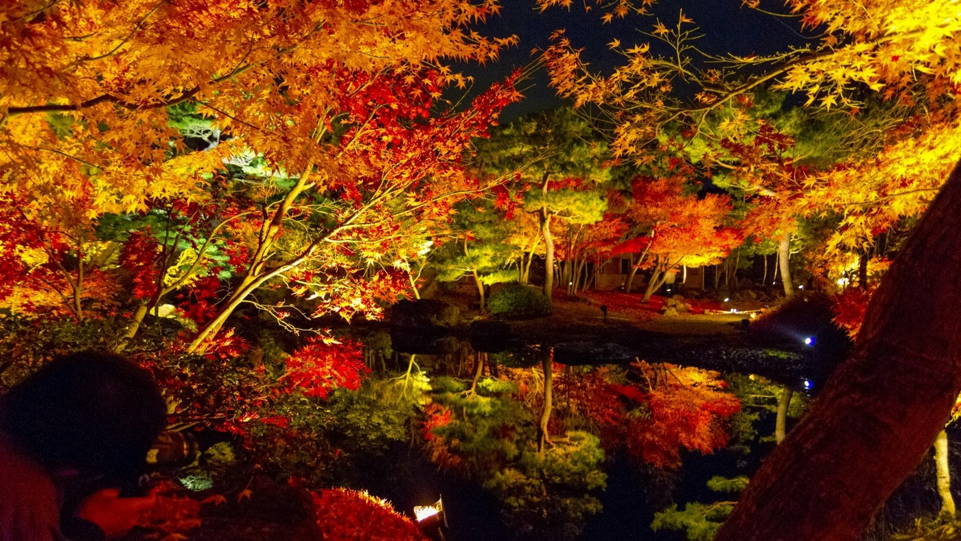 日本庭園、由志園。紅葉のシーズンには、美しく色づいた庭園を楽しむことができます。