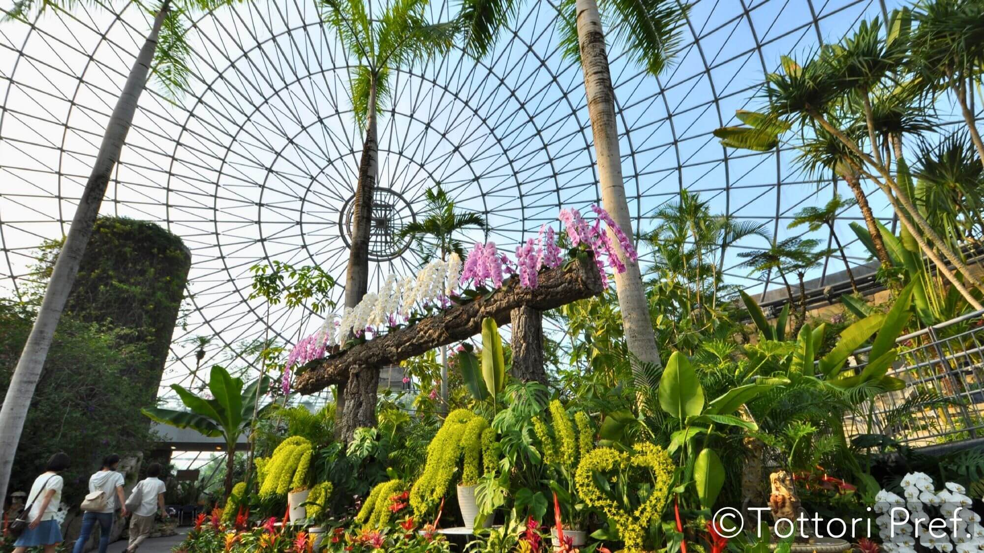 【とっとり花回廊】お車で約30分。四季折々の花々と大山の眺望を楽しむ日本最大級のフラワーパークです。
