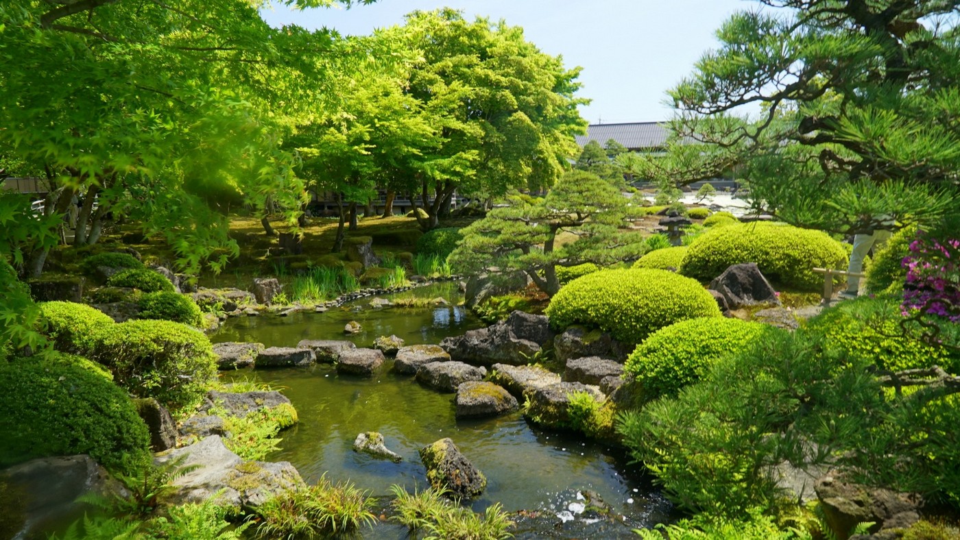夏の由志園は、鮮やかな緑が美しいだけでなく、昔ながらの涼を呼ぶしつらえで、日本の夏を味わえます。
