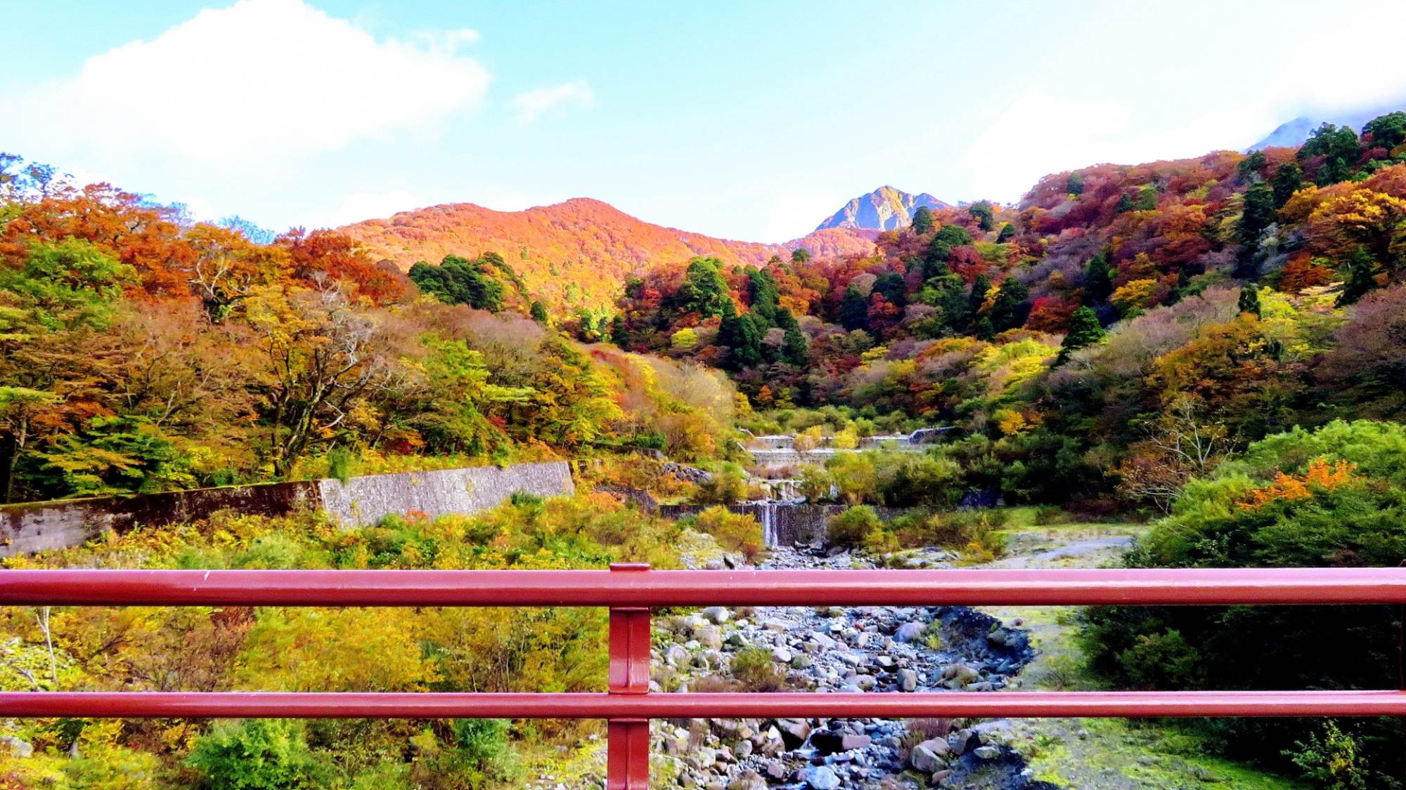 秋の大山元谷は辺り一面が鮮やかに色づき、紅葉狩りを楽しむことができます