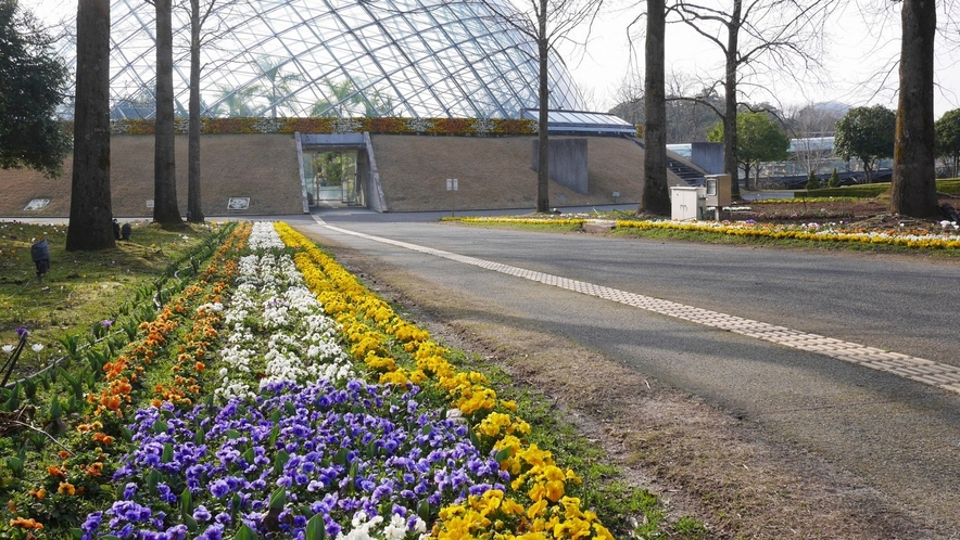 とっとり花回廊の広い園内にはさまざまな種類の華が咲き誇り、人々の心を惹きつけます。