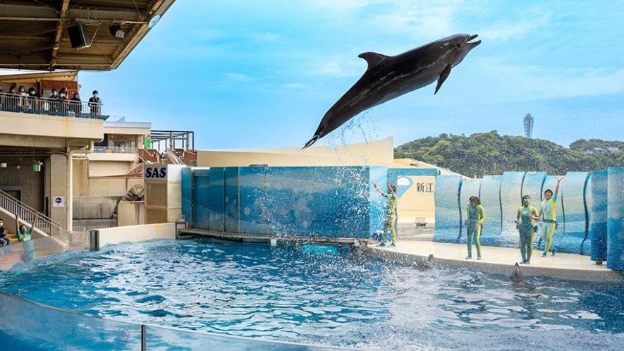 【江の島水族館】車で約35分