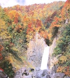 【早期割引！秋得】妙高山の紅葉♪朝食付でリーズナブル！うみがたり＆海＆高原＆ゆったり露天風呂！B＆B