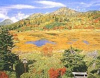 【早期割引！秋得】妙高山の紅葉♪うみがたり！海＆山＆高原deゆったり露天風呂！＜2食付＞