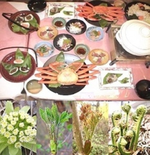 日本海の幸鍋とズワイ蟹＆笹寿司、山菜