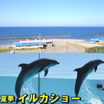 日本海「なおえつ海水浴」、上越水族館「イルカショー」