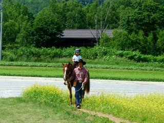 乗馬