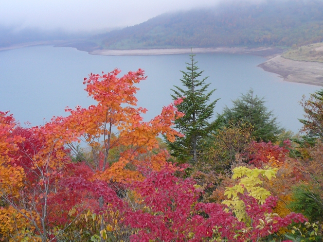 野反湖の紅葉