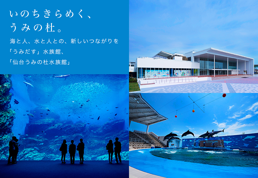 うみの杜水族館チケット付きプラン♪【ファミリー♪カップルにオススメ】仙台で遊ぼう♪