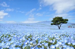 写真5