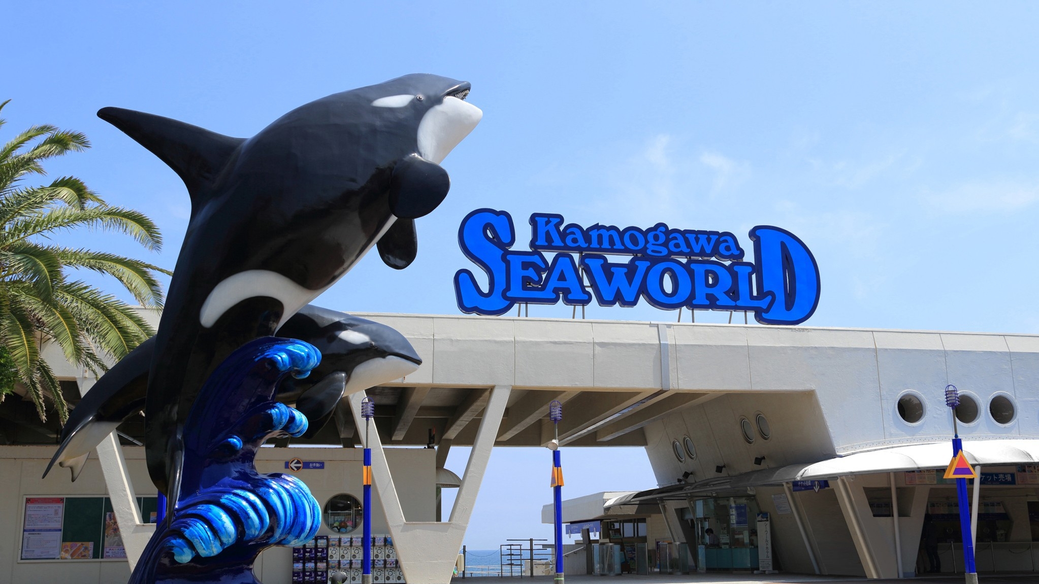 【夏のシーワルドプラン】〜鴨川シーワールド入園券付〜