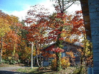 ★★紅葉の森吉高原プラン（朝食のみコース）★★週末・連休日程ご利用なら、ちょっと嬉しい特典付