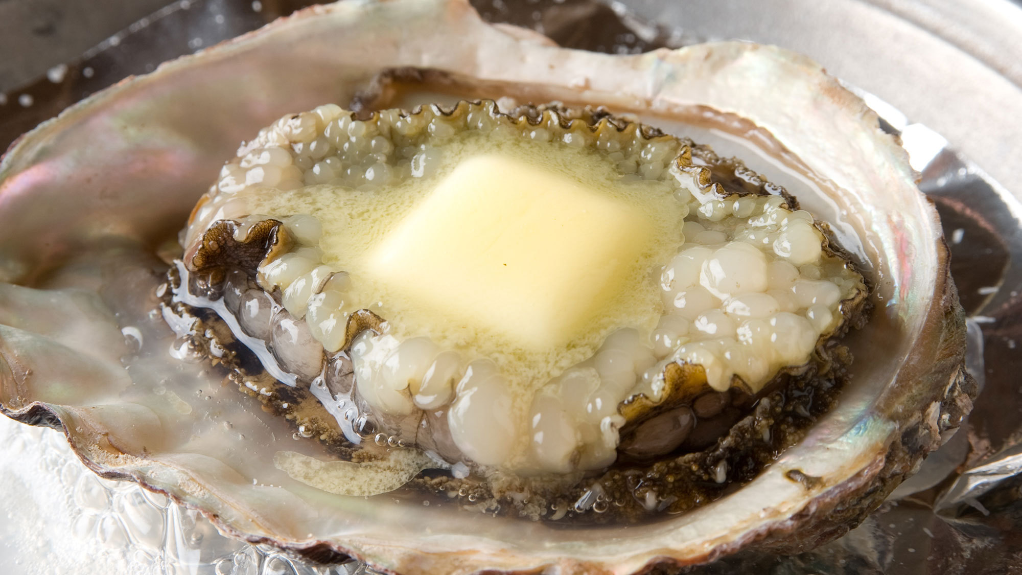 【マタニティプラン】鮑の一品付き！調理方法チョイス♪〜生物のお造りは煮魚へ変更！