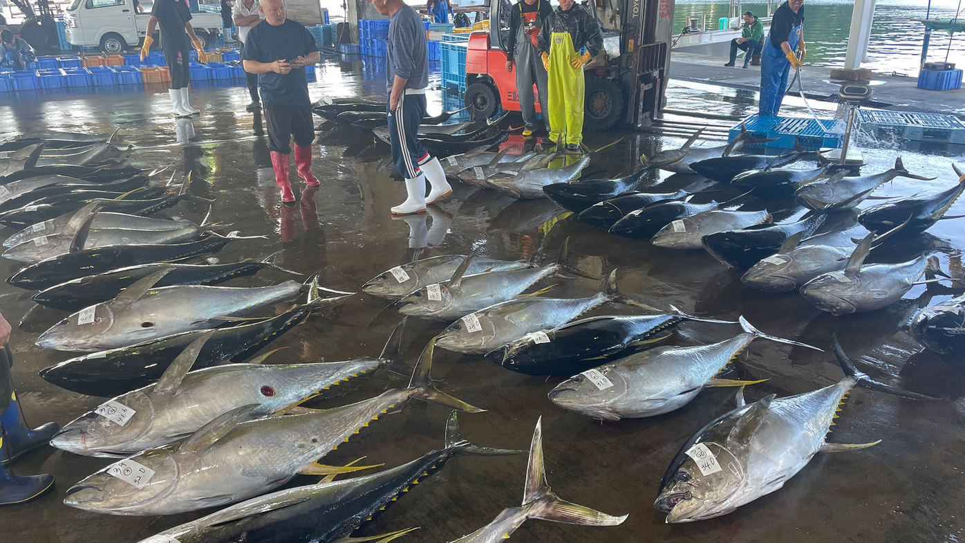 美味しい地魚と伊勢海老　夏の海の幸プラン♪※注意事項要確