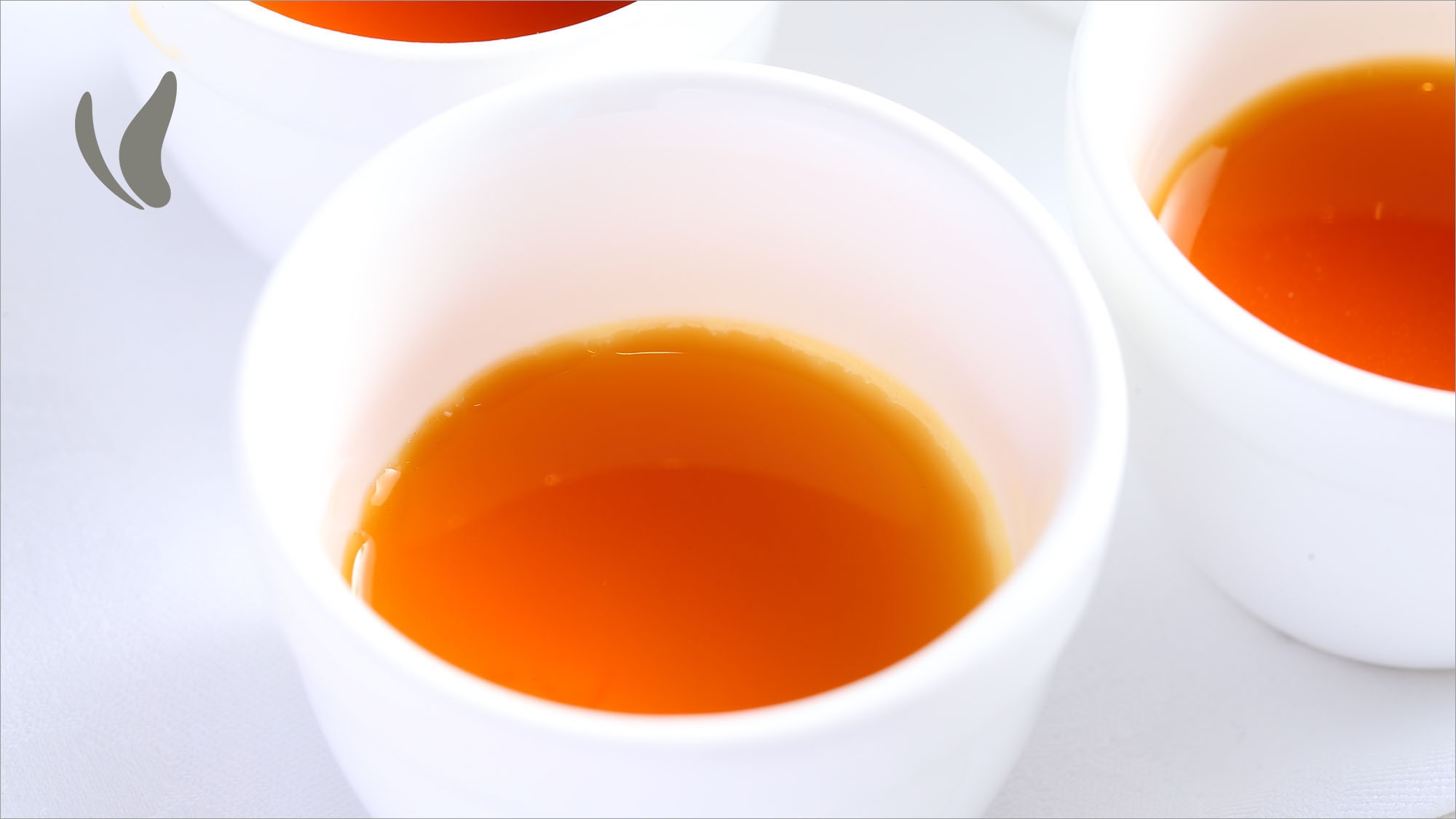 【さき楽90】90日前までの早期予約でお得！！★郷土料理が自慢の朝食付プラン★