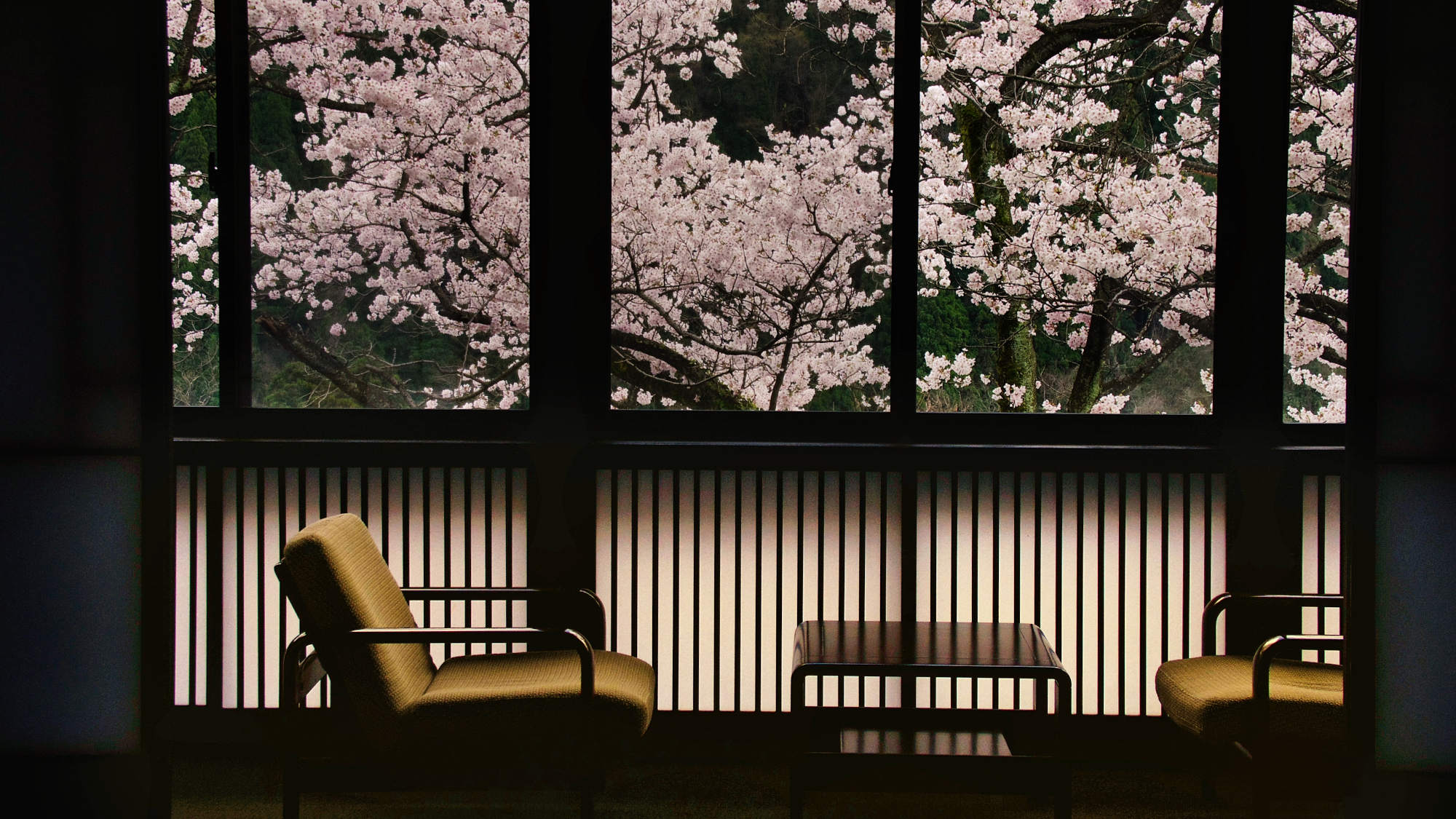 ・「和モダン客室10畳～」のお部屋からの桜の眺望（見ごろは4月上旬です）