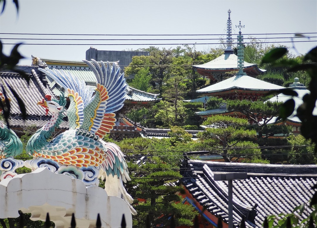 しまなみ観光「耕三寺」割引券付スタンダードプラン≪瀬戸内海の地魚料理≫