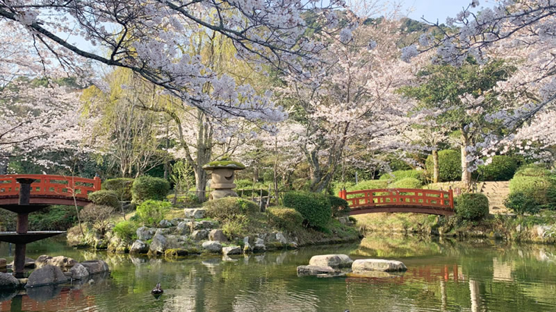 さくら・つつじの名所【打吹公園（うつぶきこうえん）】　旅館より徒歩10分