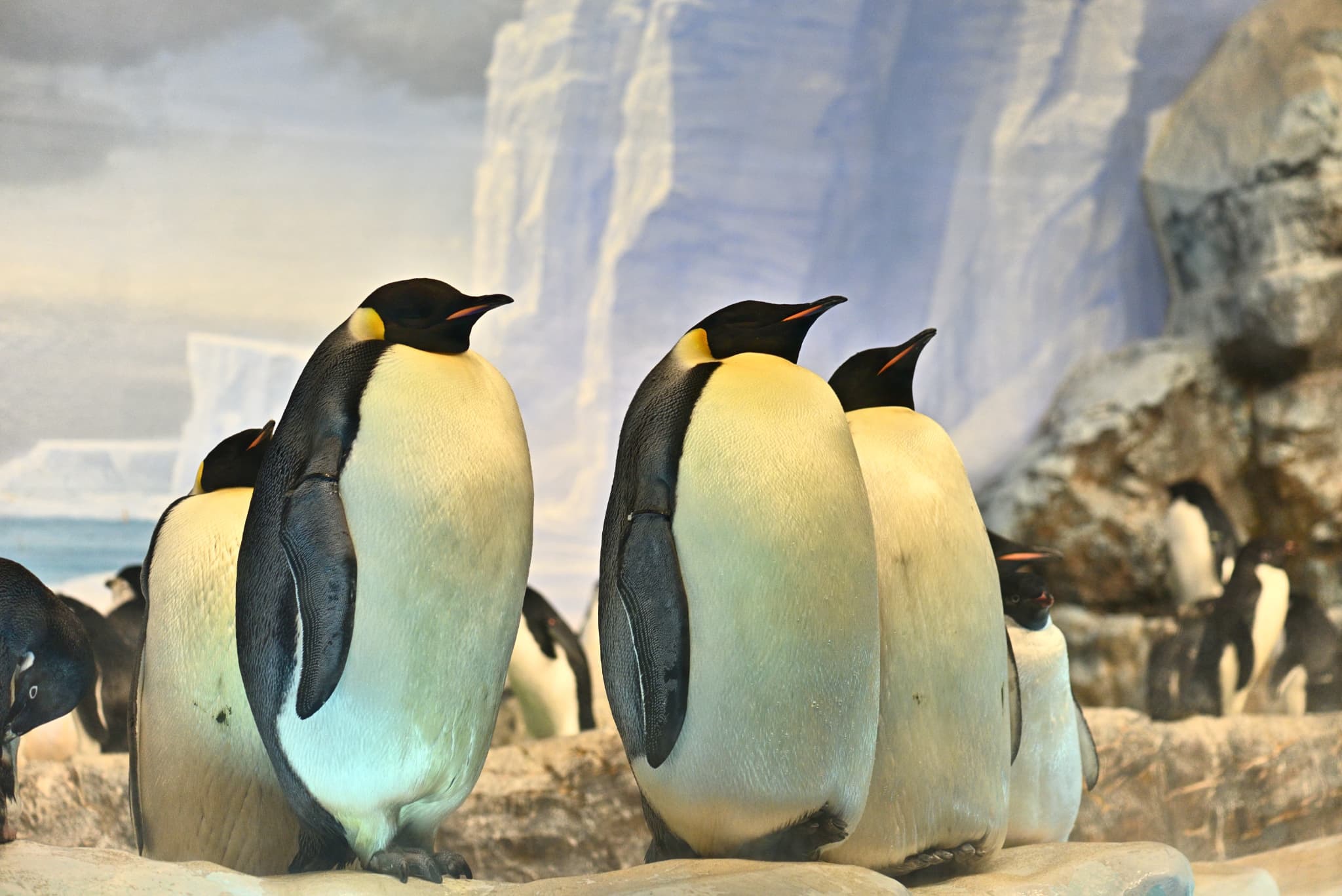 【名古屋港水族館割引券付きプラン】ご家族やカップルにおすすめのアクアリウム体験≪朝食付き≫