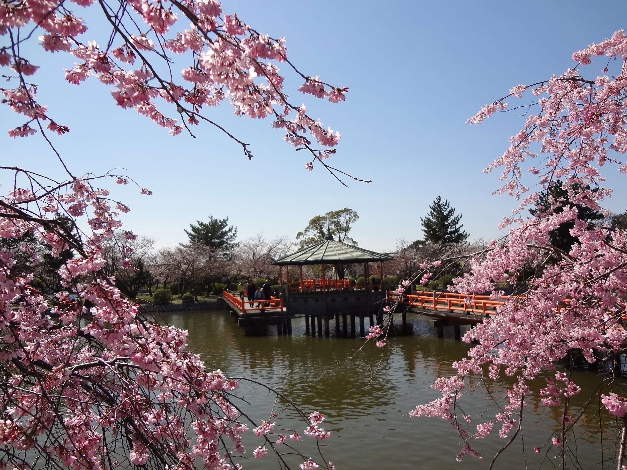 【徒歩約15分】九華公園