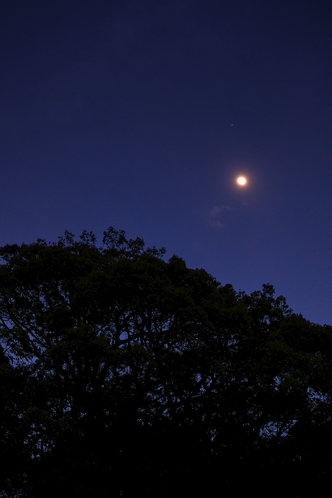 夜景散歩