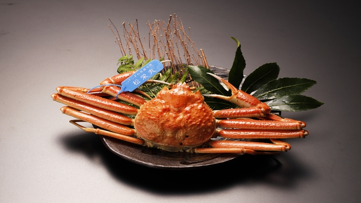 ■松葉がに■☆山陰冬の味覚☆〜日本海産〜茹で松葉蟹姿、松葉蟹刺し、焼き松葉蟹など松葉蟹会席