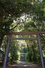 天岩戸神社東本宮(本殿）