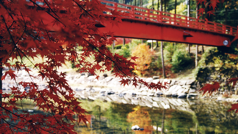【観光】宇甘渓自然公園