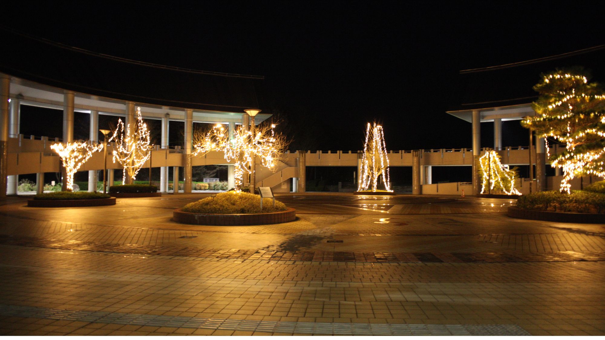 ◆【景観】夜のイルミネーション景観