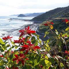 【日南海岸・絶景ロード】