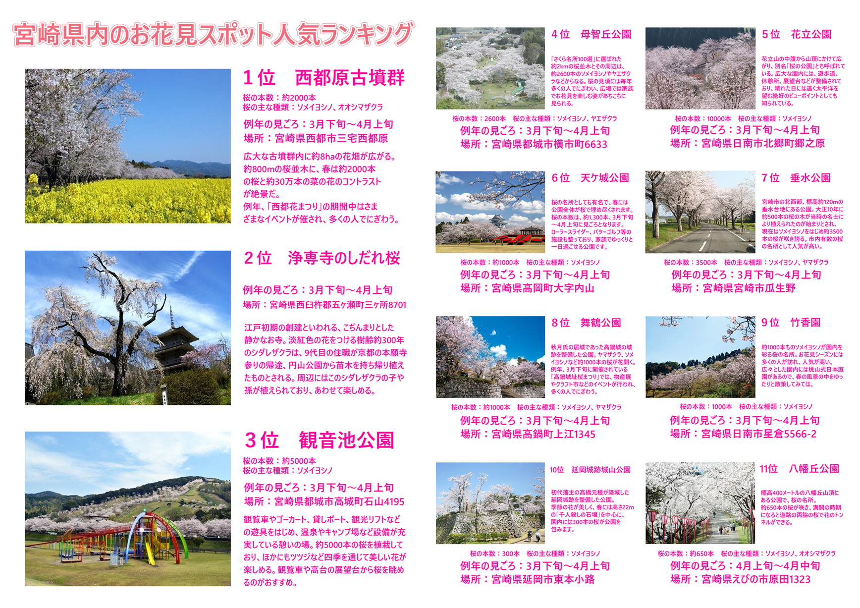 宮崎県桜の名所